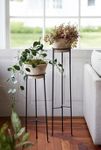 Thumbnail View 1: Tall Iron Plant Stand