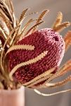 Thumbnail View 2: Dried Banksia Bunch