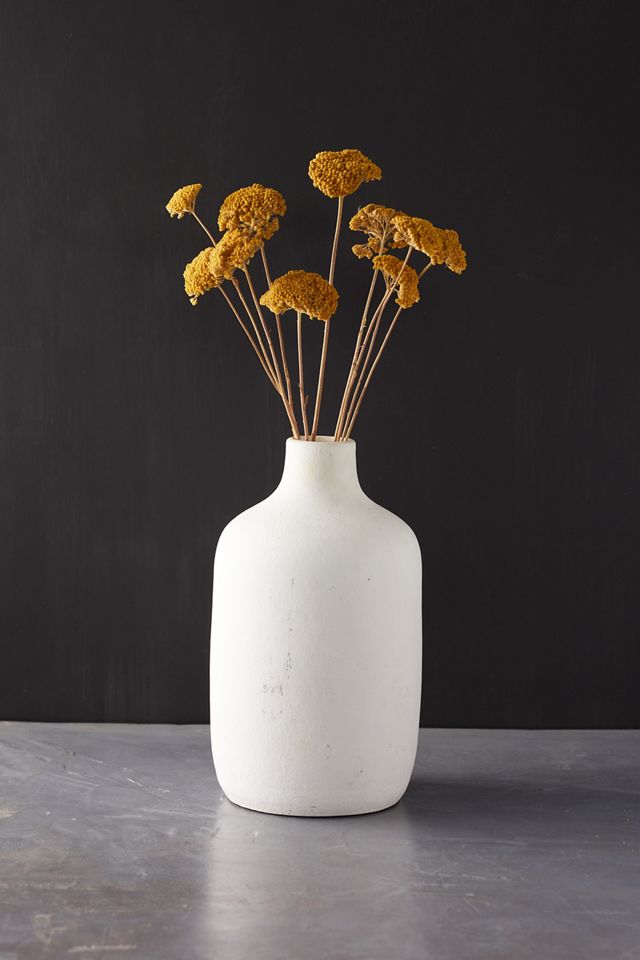 Dried Yarrow Bunch Anthropologie