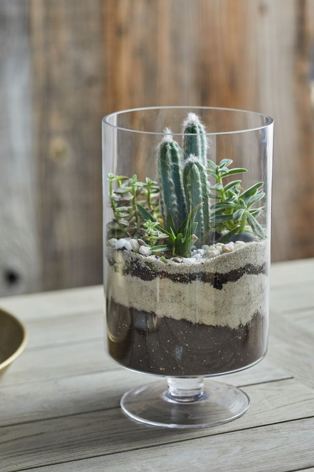 Footed Column Terrarium Anthropologie