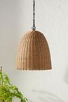 Thumbnail View 1: Coastal Living Beehive Indoor/Outdoor Pendant