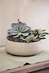 Thumbnail View 2: Fiber Cement Bowl Planter, 14"