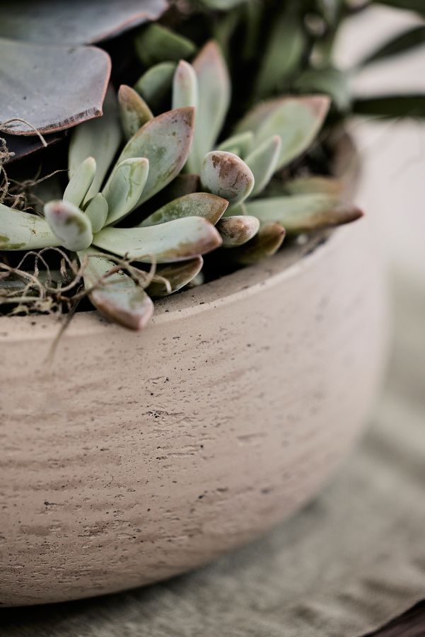 Slide View: 3: Fiber Cement Bowl Planter, 14"