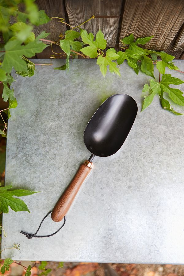 Slide View: 1: Barebones Garden Scoop