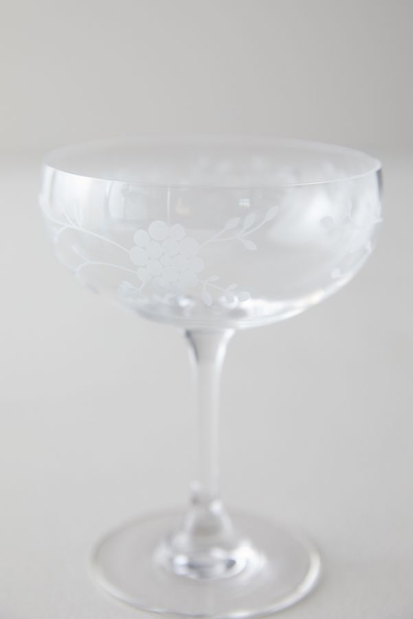 Slide View: 4: Etched Floral Coupes, Set of 2