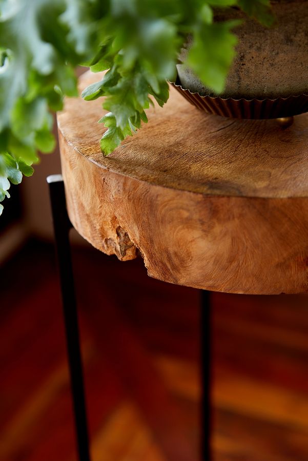 Slide View: 4: Teak Top + Iron Base Plant Stand