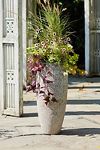 Thumbnail View 3: Barnacle Tall Modern Planter