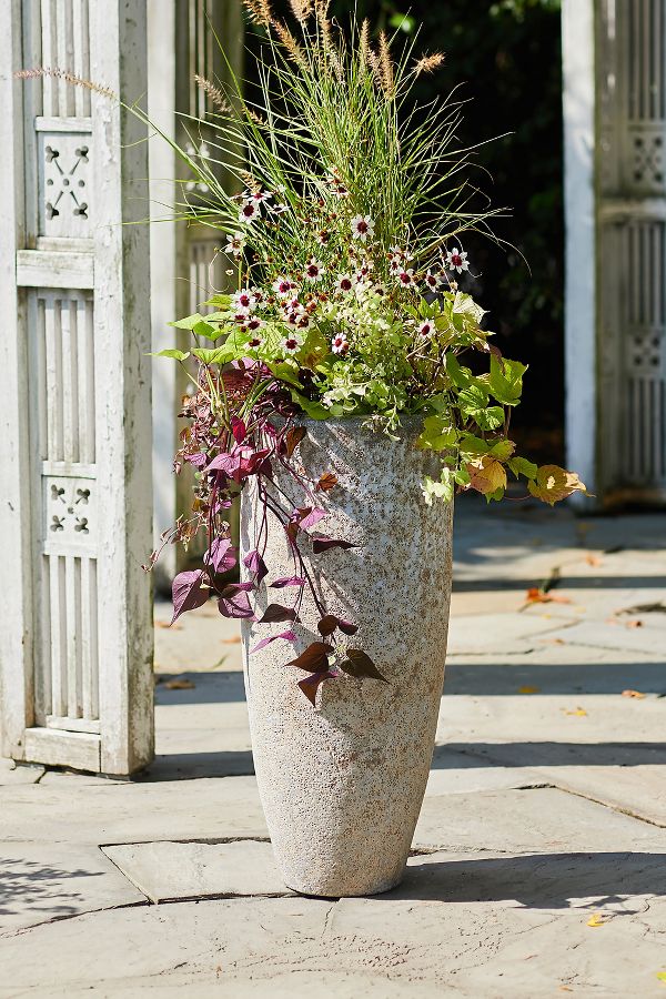 Slide View: 3: Barnacle Tall Modern Planter