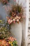 Thumbnail View 5: Barnacle Tall Modern Planter