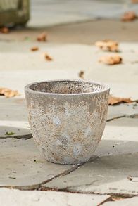 Slide View: 2: Barnacle Rounded Egg Planter, 10"