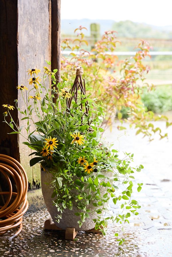 Slide View: 15: Barnacle Rounded Egg Planter