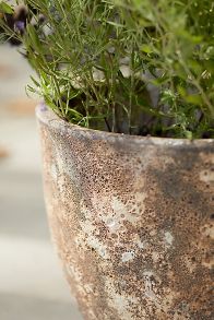 Slide View: 3: Barnacle Rounded Egg Planter, 10"