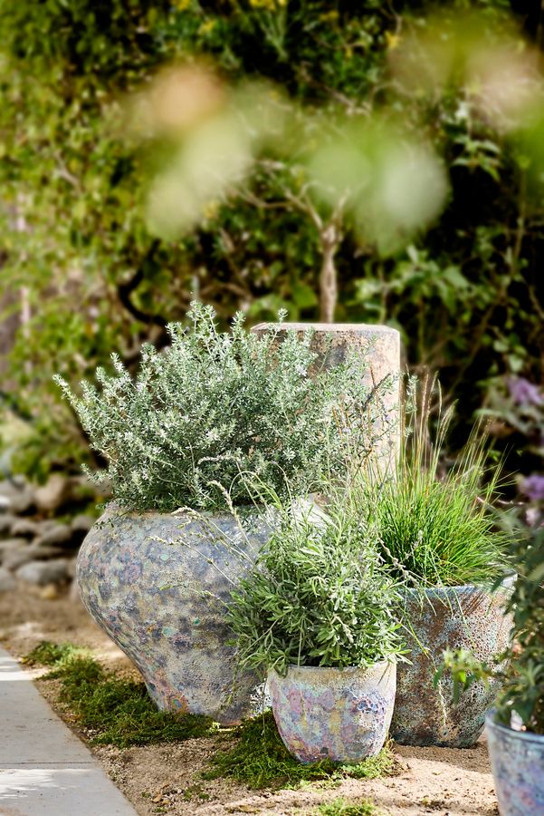 Slide View: 6: Barnacle Rounded Egg Planter, 12"