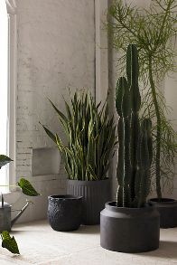 Slide View: 3: Paloma Ceramic Planter, 18"