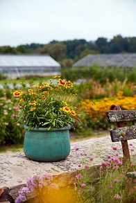 Slide View: 6: Roll Top Low Ceramic Planter, 19"