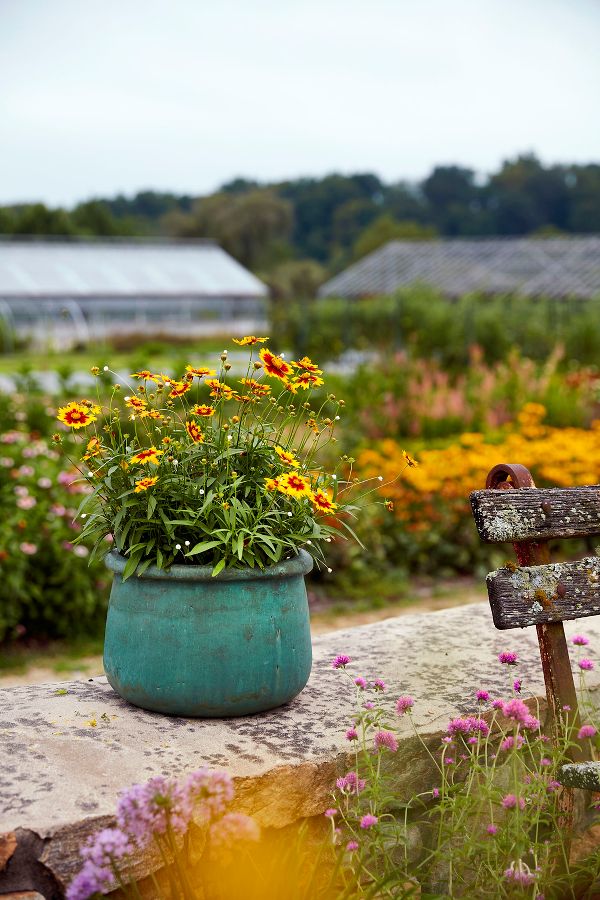 Slide View: 6: Roll Top Low Ceramic Planter, 19"