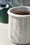 Thumbnail View 3: Roll Top Ceramic Planter, 12"