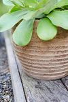 Thumbnail View 3: Antiqued Ring Ceramic Jar Planter, 11"