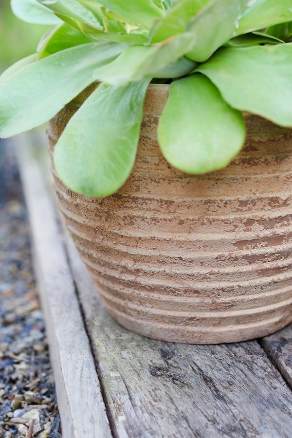 Slide View: 3: Antiqued Ring Ceramic Jar Planter, 11"