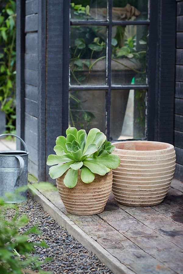 Slide View: 4: Antiqued Ring Ceramic Jar Planter, 11"