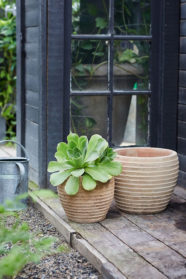 Slide View: 1: Antiqued Ring Ceramic Jar Planter, 15"