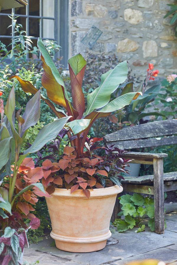 Slide View: 1: Tapered Terracotta Planter