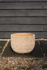 Slide View: 4: Paloma Ceramic Bowl Planter, 15"