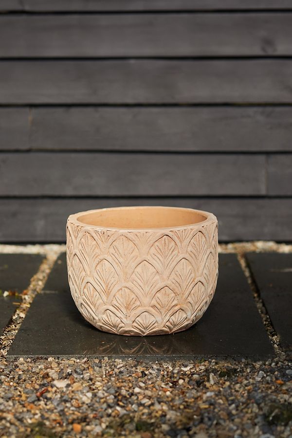 Slide View: 4: Paloma Ceramic Bowl Planter, 15"