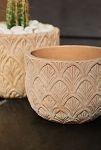 Thumbnail View 5: Paloma Ceramic Bowl Planter, 15"