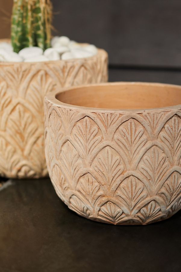 Slide View: 5: Paloma Ceramic Bowl Planter, 15"