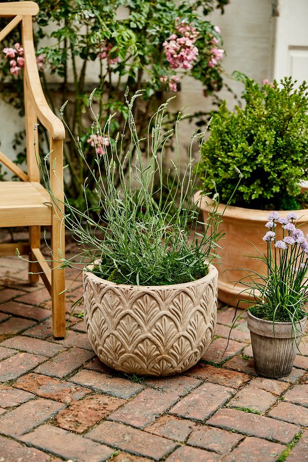 Slide View: 2: Paloma Ceramic Bowl Planter, 15"