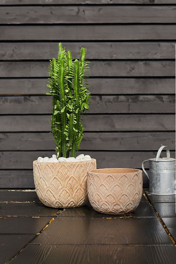 Slide View: 3: Paloma Ceramic Bowl Planter, 15"