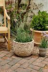 Thumbnail View 4: Paloma Ceramic Bowl Planter, 18"