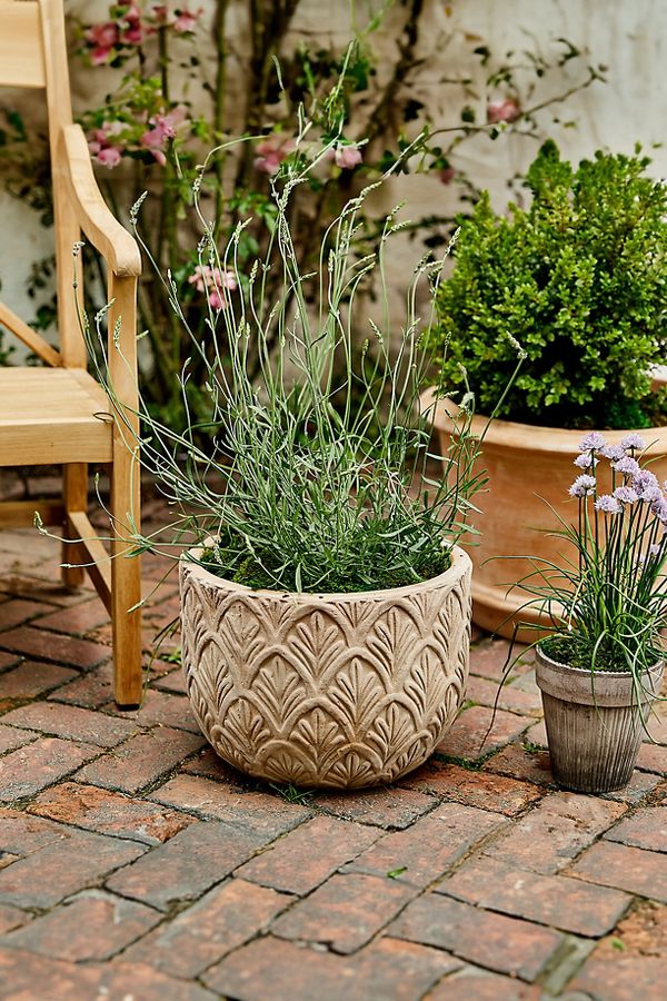 Slide View: 4: Paloma Ceramic Bowl Planter, 18"