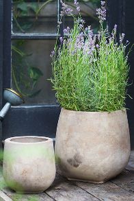 Slide View: 1: Aged Ceramic Planter, 12"