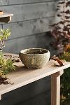 Thumbnail View 5: Barnacle Button Bowl Planter