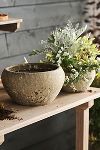 Thumbnail View 4: Barnacle Button Bowl Planter