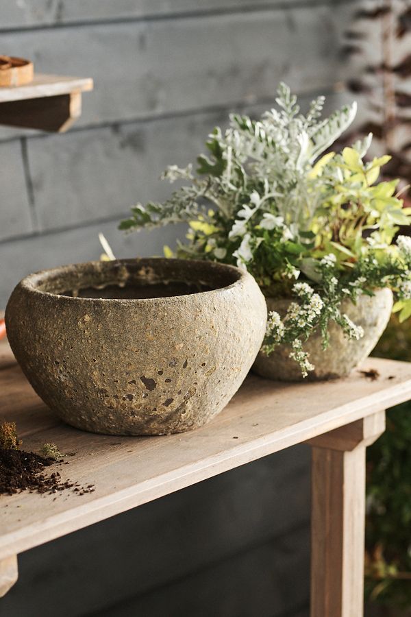 Slide View: 4: Barnacle Button Bowl Planter