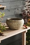 Thumbnail View 2: Barnacle Button Bowl Planter