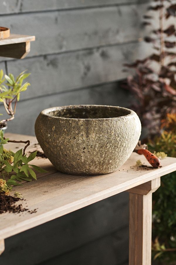 Slide View: 2: Barnacle Button Bowl Planter