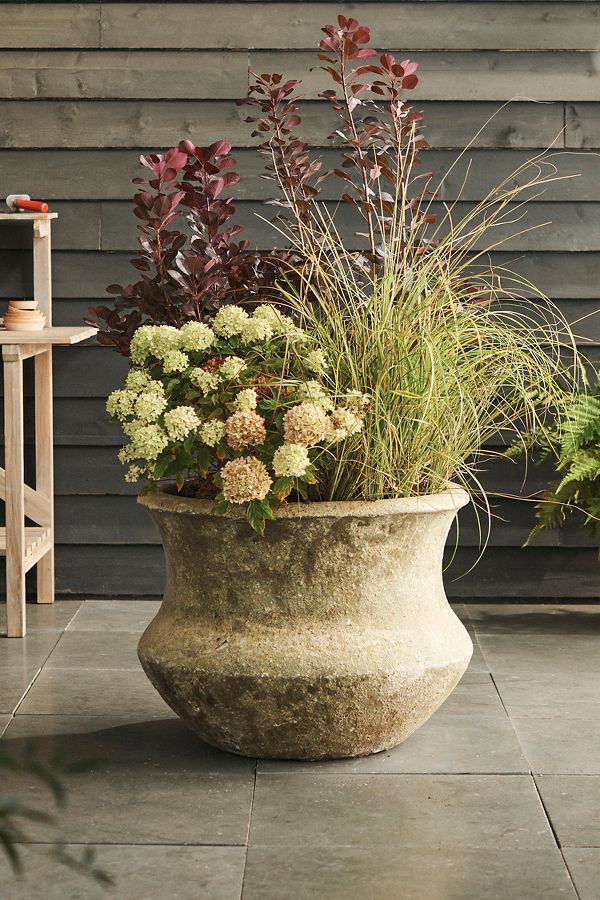 Slide View: 1: Barnacle Lotus Planter