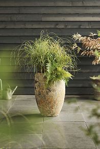 Slide View: 1: Barnacle Tall Egg Planter