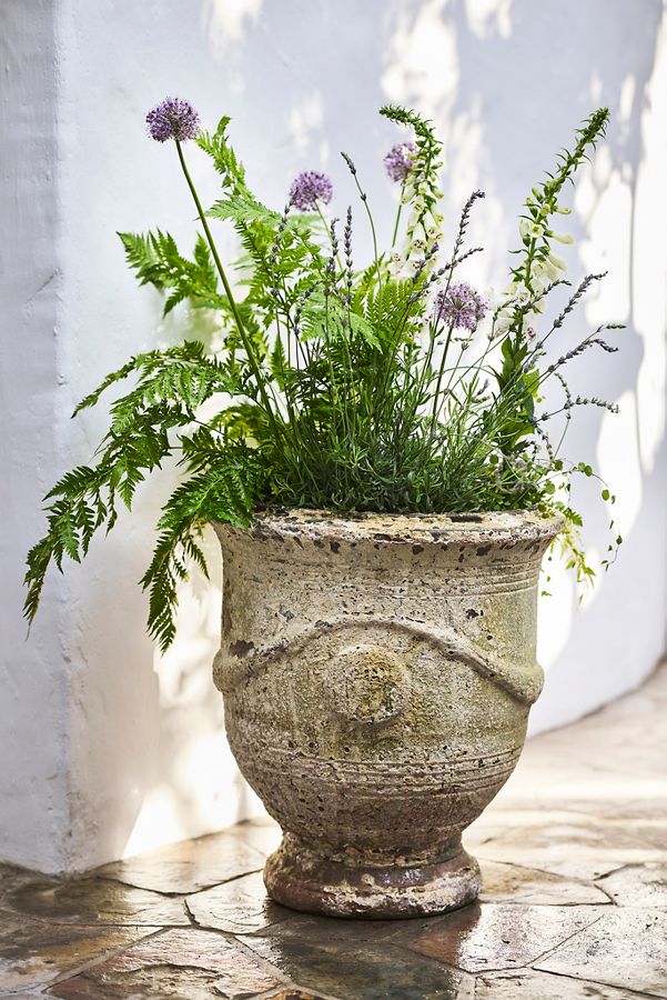 Slide View: 1: Barnacle French Urn