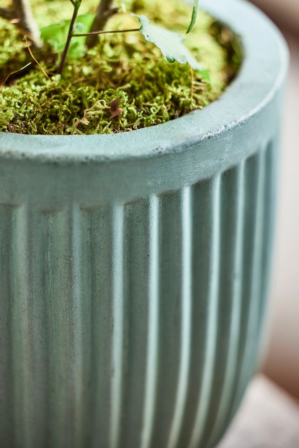 Slide View: 2: Fiber Concrete Barrel Pot, 7"