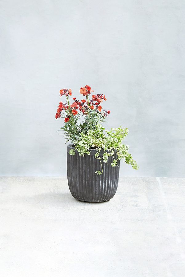 Slide View: 1: Fiber Concrete Barrel Pot, 9"