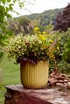 Thumbnail View 2: Fiber Concrete Barrel Pot, 16"