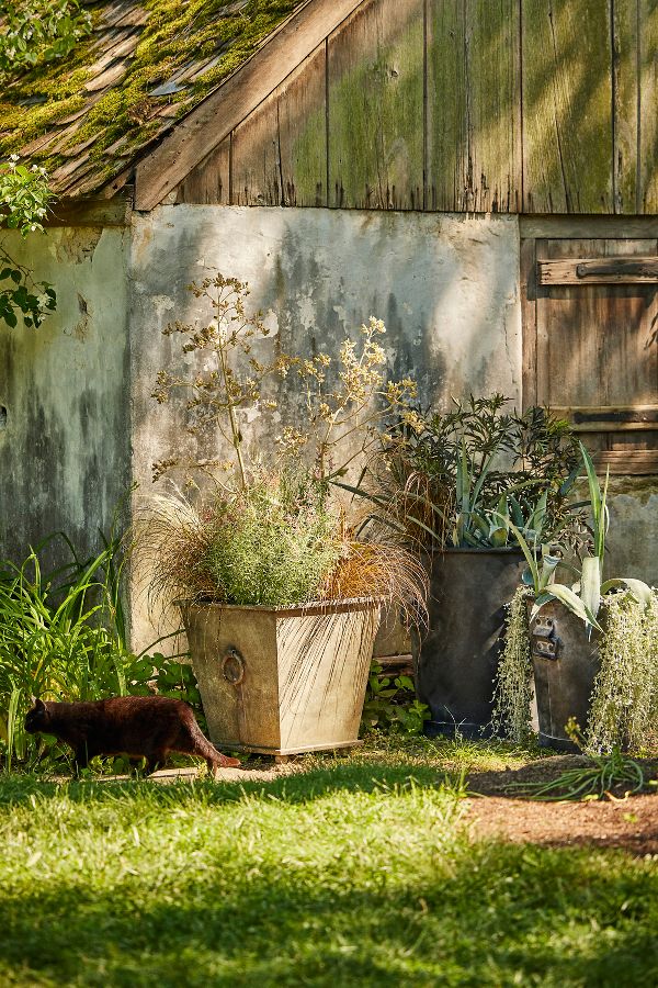 Slide View: 3: Galvanized Ring Handle Planter, 24"