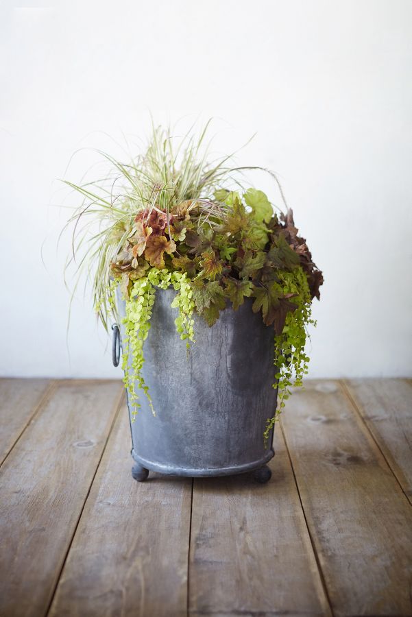 Slide View: 1: Galvanized Ring Handle Planter, 24"