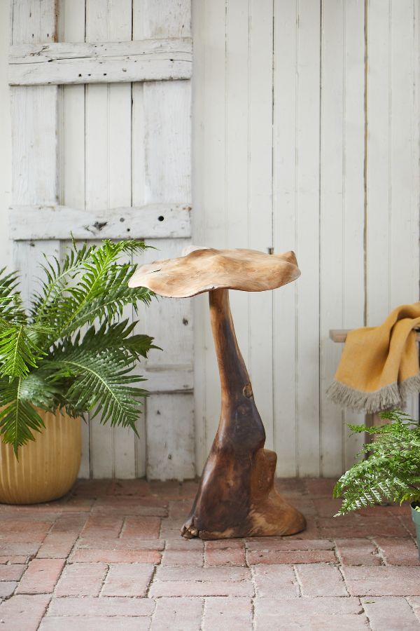 Slide View: 2: Teak Mushroom, Extra Tall