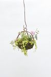 Thumbnail View 2: Sphere Rust Patina Hanging Basket, 10"